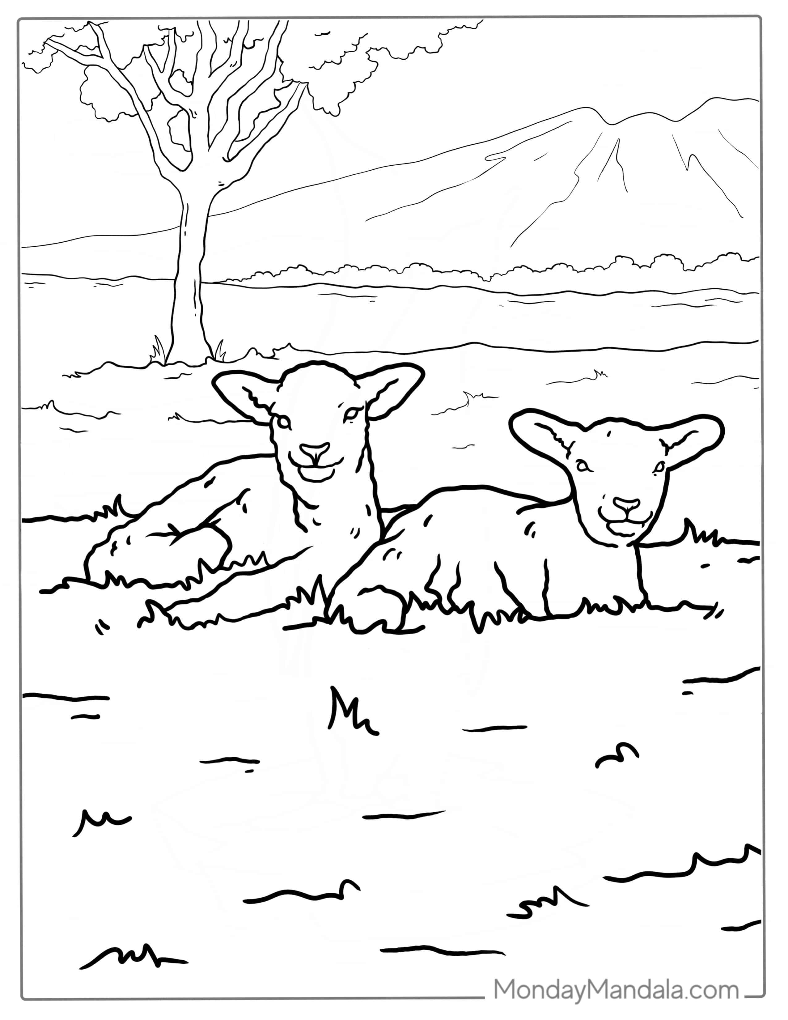 Two Cute Lambs Resting On Grass To Color coloring page