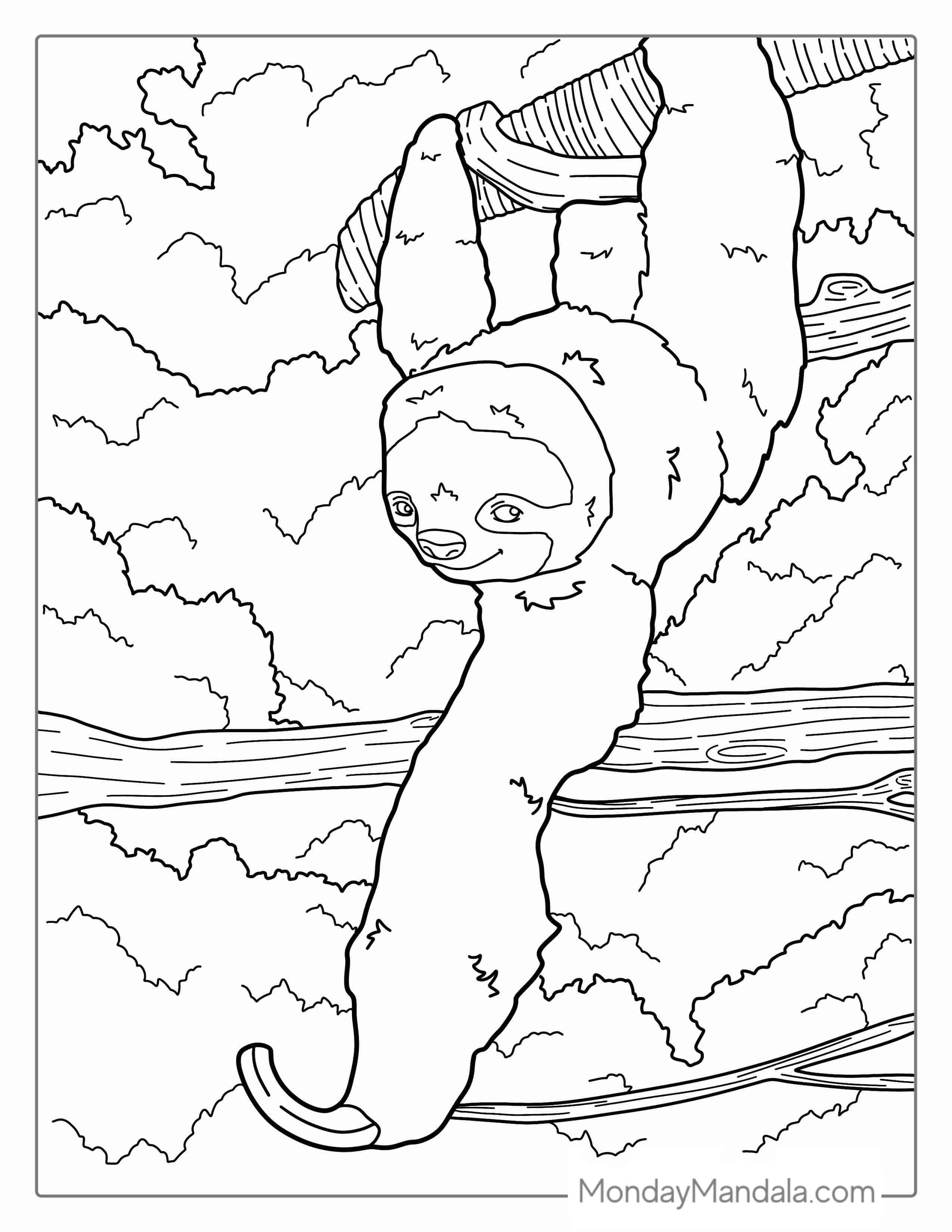 Adult Sloth Reaching Out For Food To Color coloring page