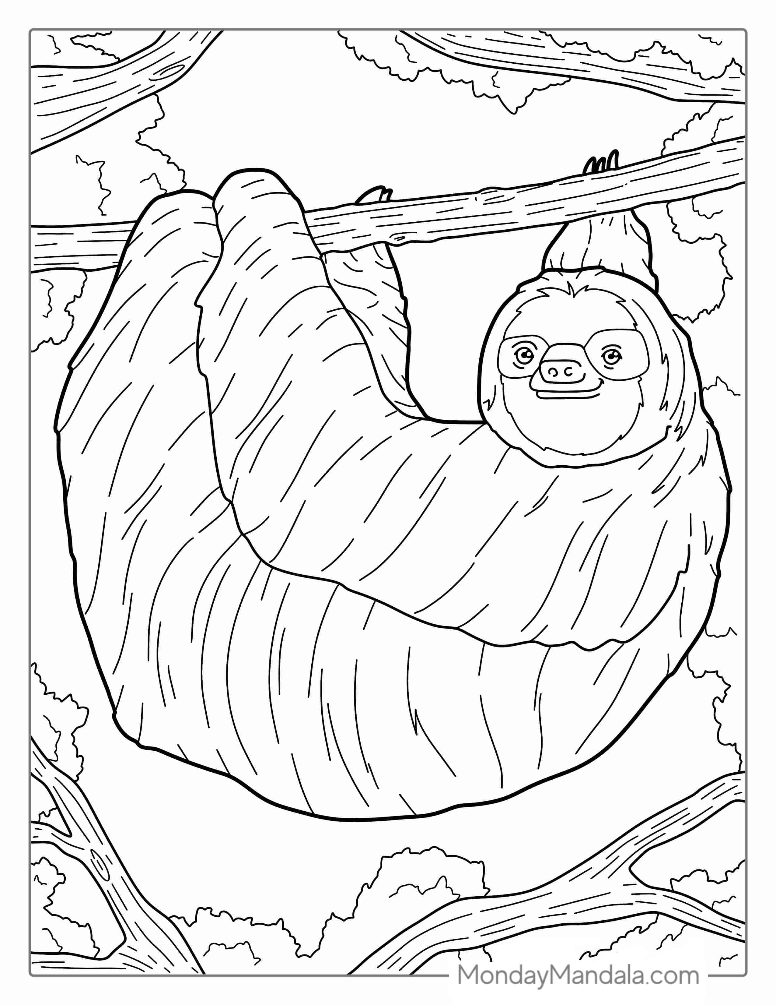 Adult Sloth Smiling And Hanging From Tree coloring page