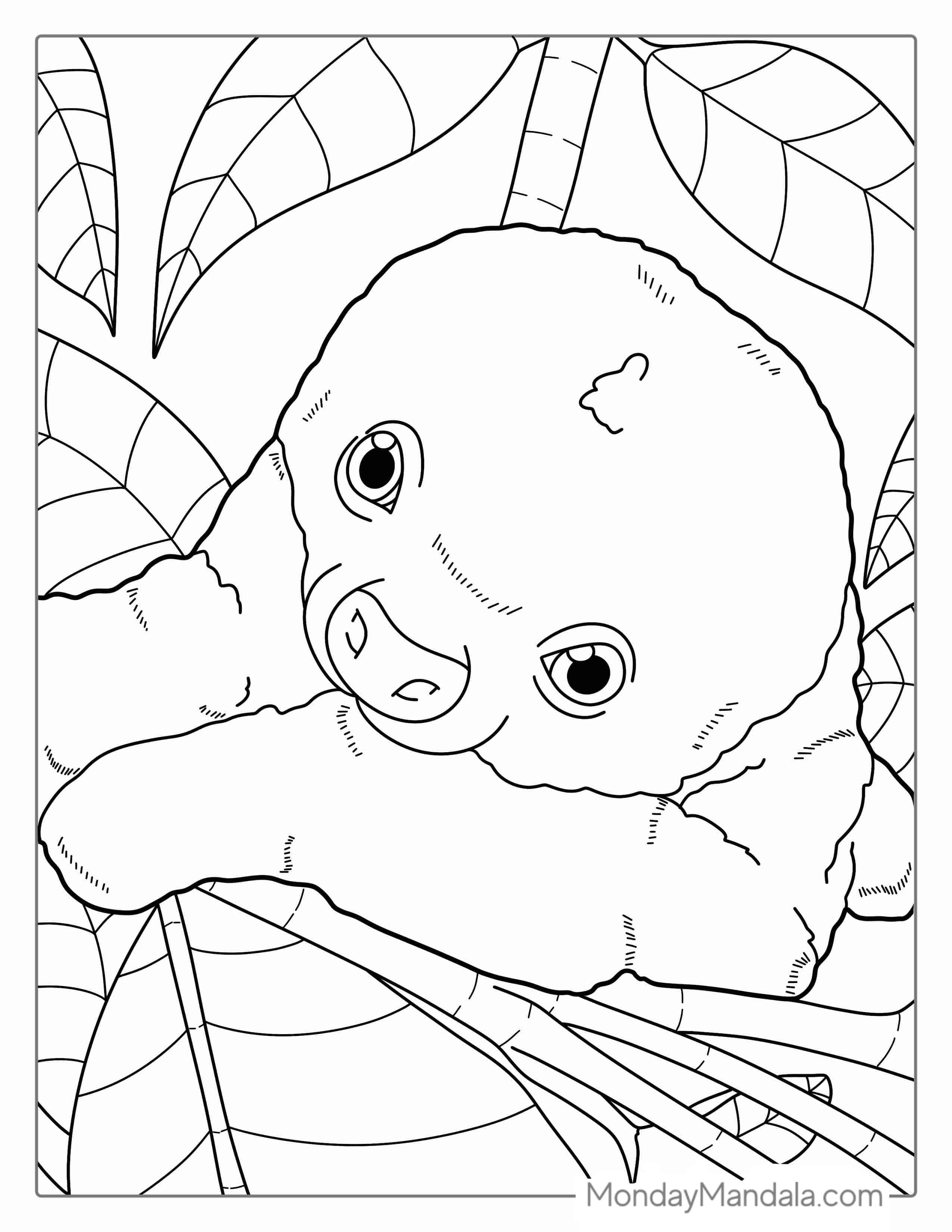 Easy Baby Sloth Coloring Sheet For Preschoolers coloring page — printable line art