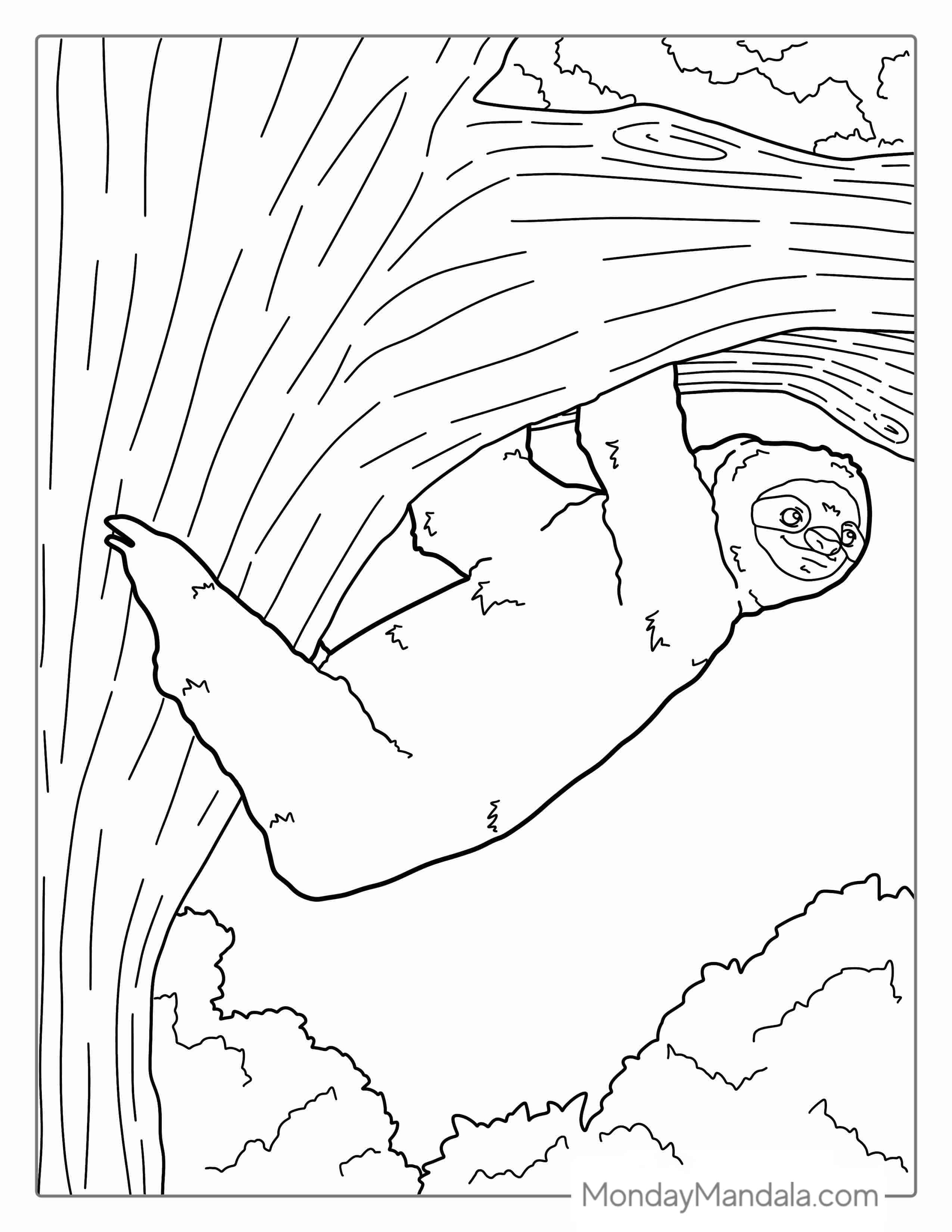 Sloth Climbing Up Tree To Color coloring page — printable line art