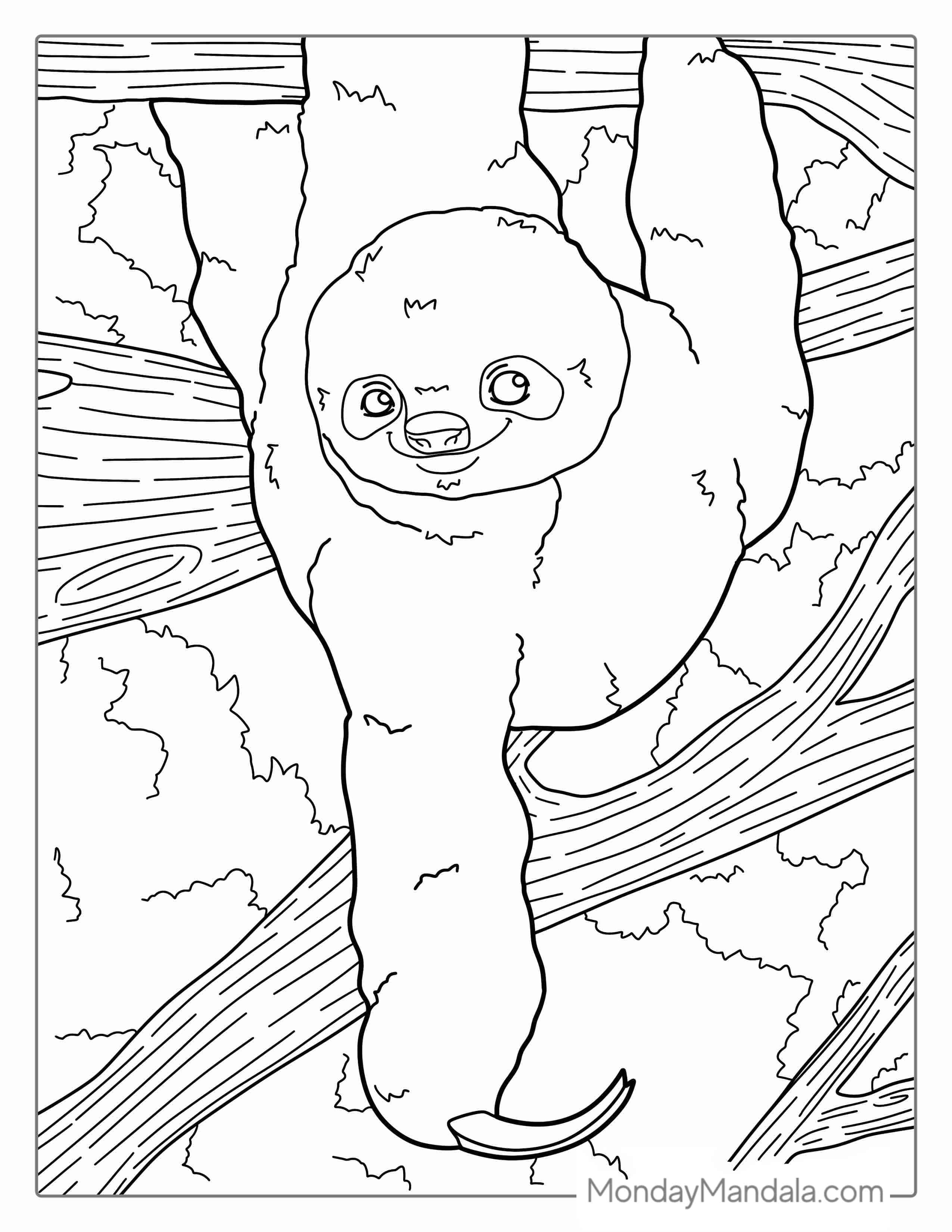 Smiling Sloth Hanging From Tree Branch To Color coloring page