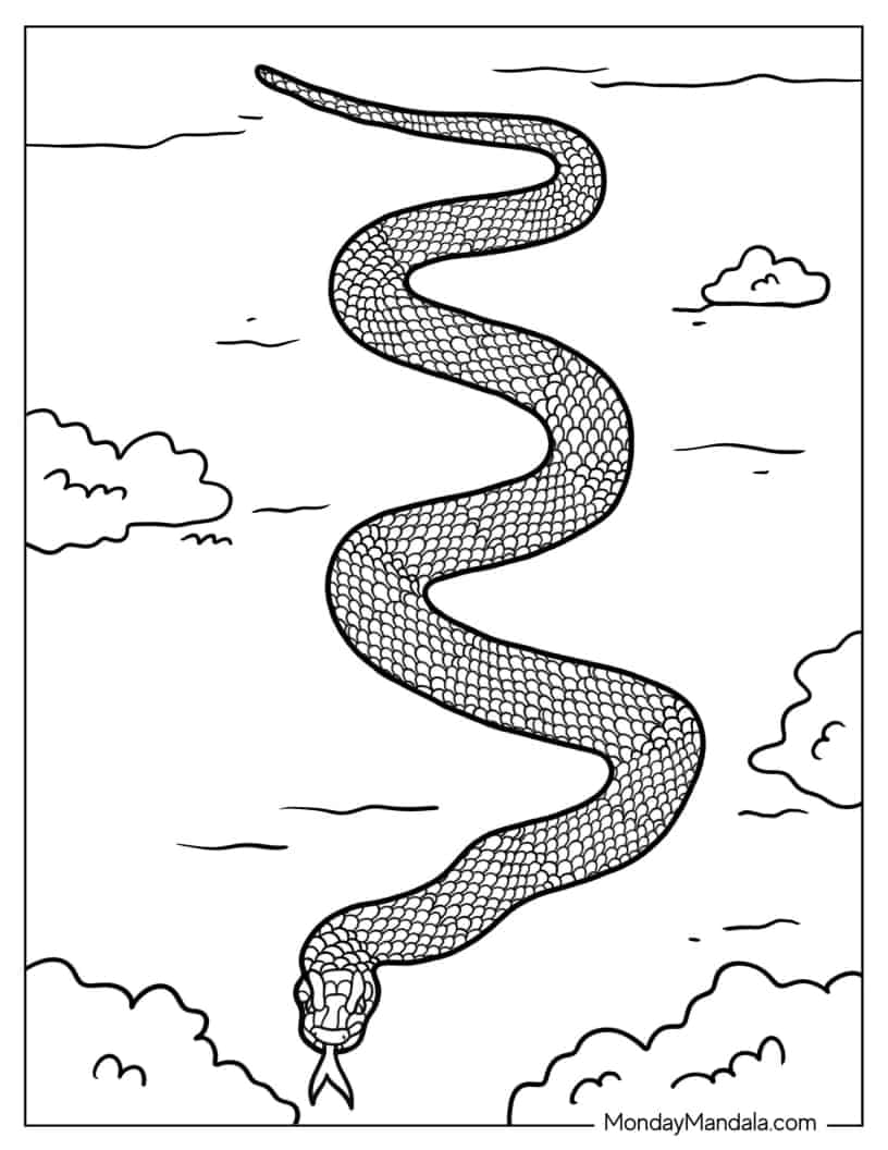 Australian Red Belly Black Snake coloring page — printable line art