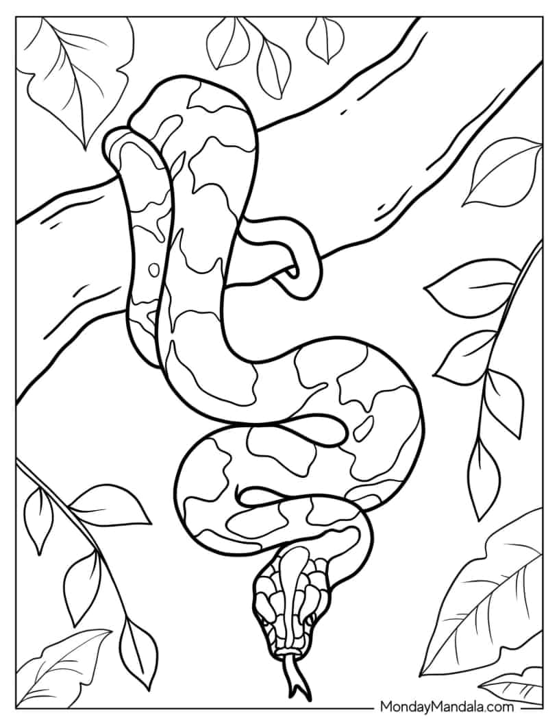 Black-Headed Python Hanging From Tree coloring page