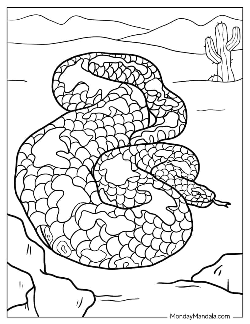 Boa Constrictor Snake To Color coloring page — printable line art