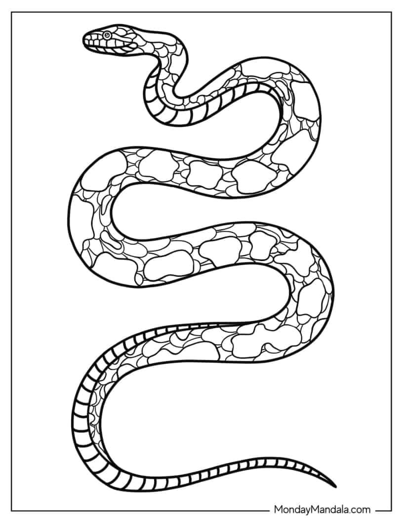 Burmese Python To Color coloring page — printable line art