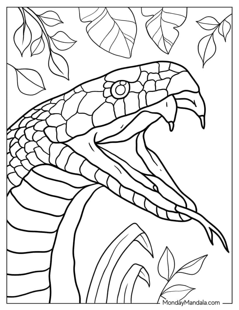 Close Up Of Snake With Fangs Out coloring page — printable line art