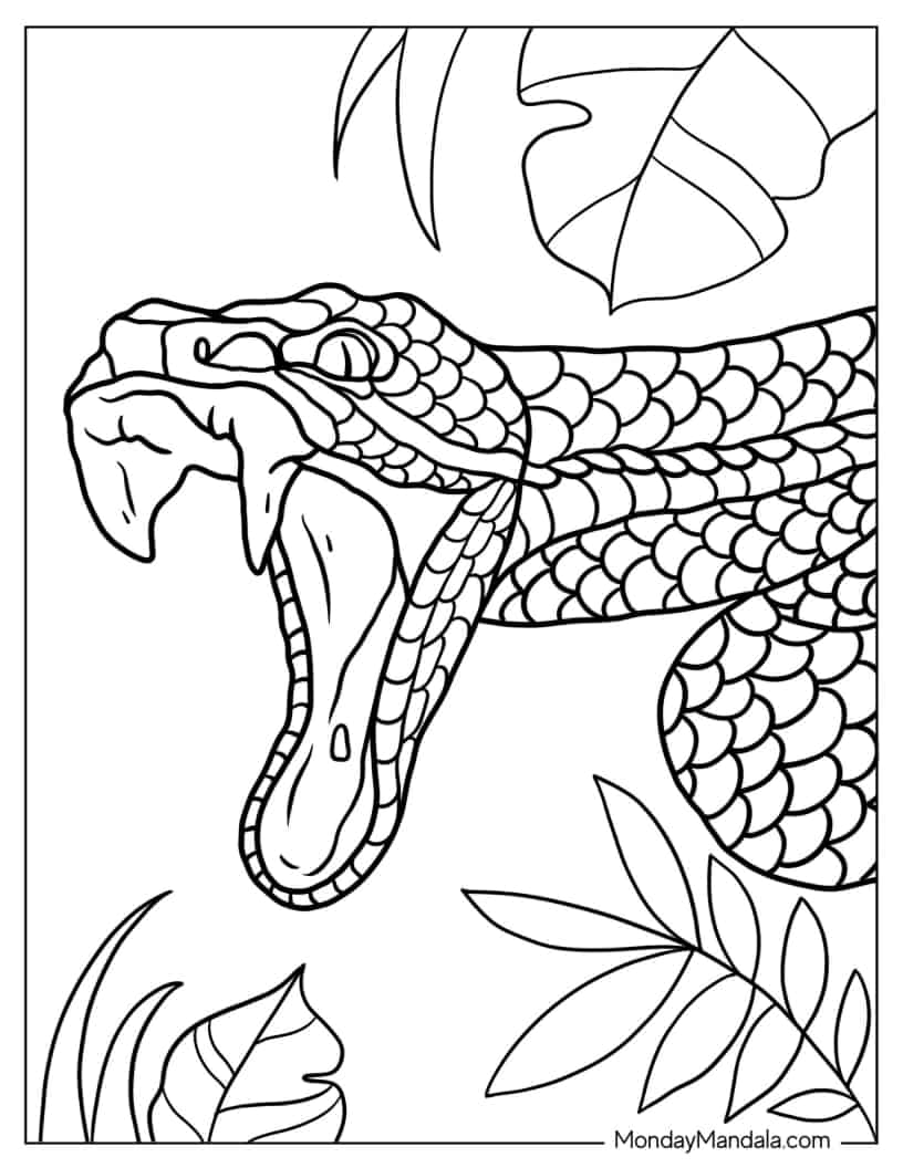 Coloring Page Of Snake Attacking Prey coloring page — printable line art