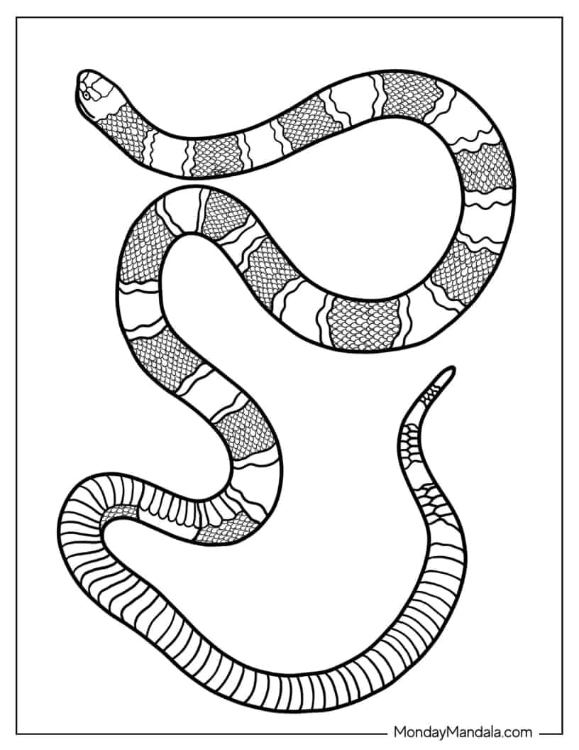 Coral Snake Coloring Sheet coloring page