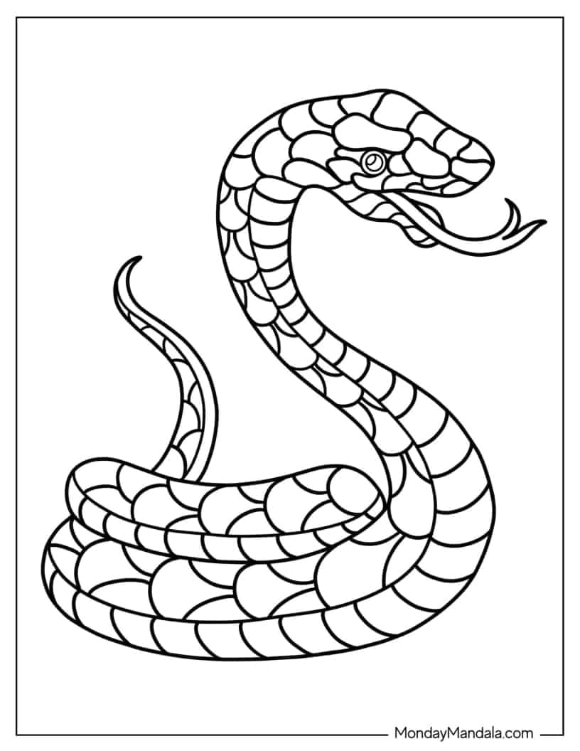 Curled Up Snake With Tongue Out coloring page