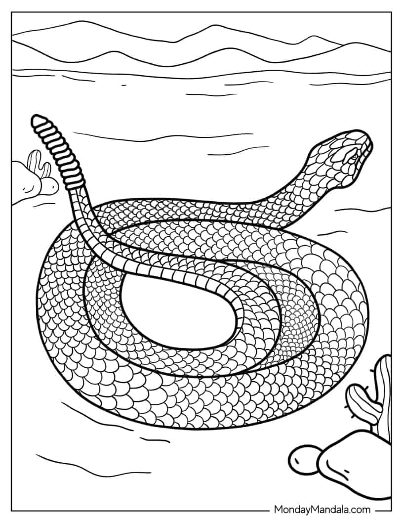Detailed Black Tailed Rattlesnake In The Desert coloring page — printable line art