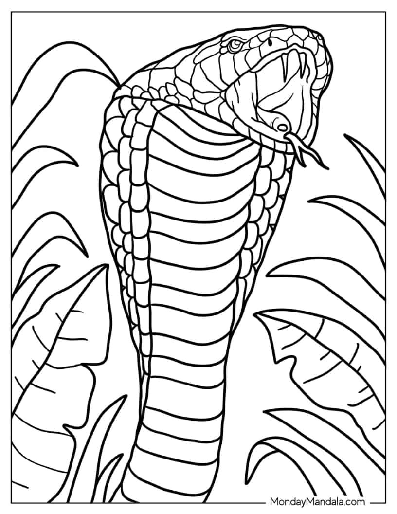 Detailed Cobra Snake Head With Fangs Out coloring page