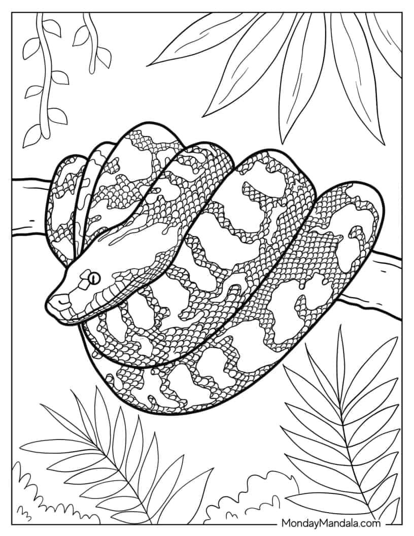 Detailed Curled Uo African Rock Python coloring page — printable line art
