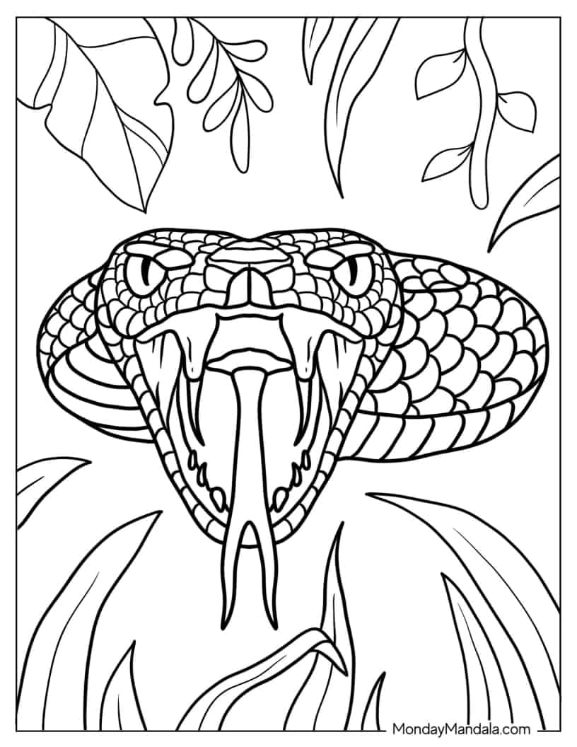 Fierce Looking Snake With Fangs And Tongue Out coloring page
