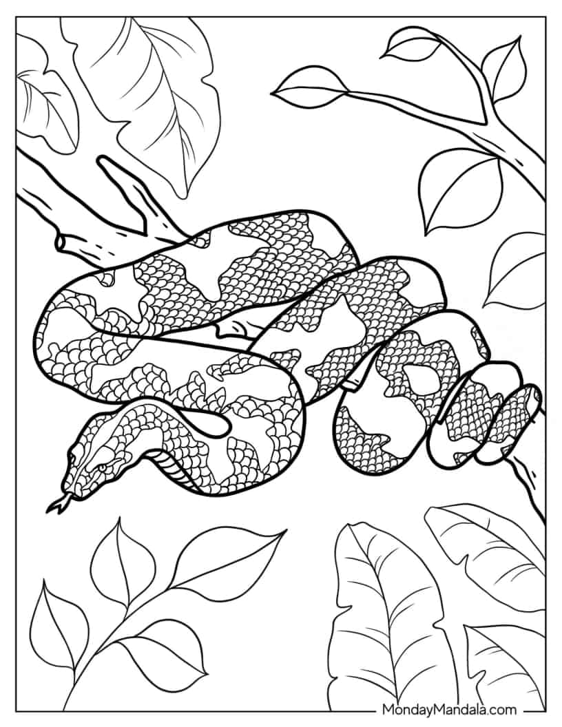 Large Python Hiding In Tree coloring page