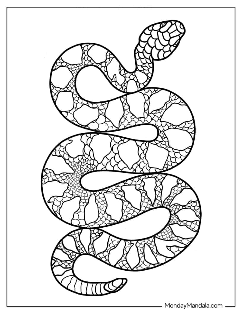 Large Python Snake coloring page