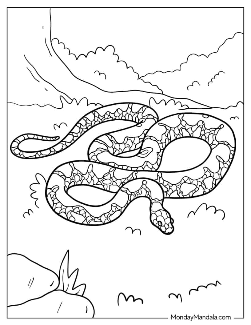 Mangrove Snake To Color coloring page