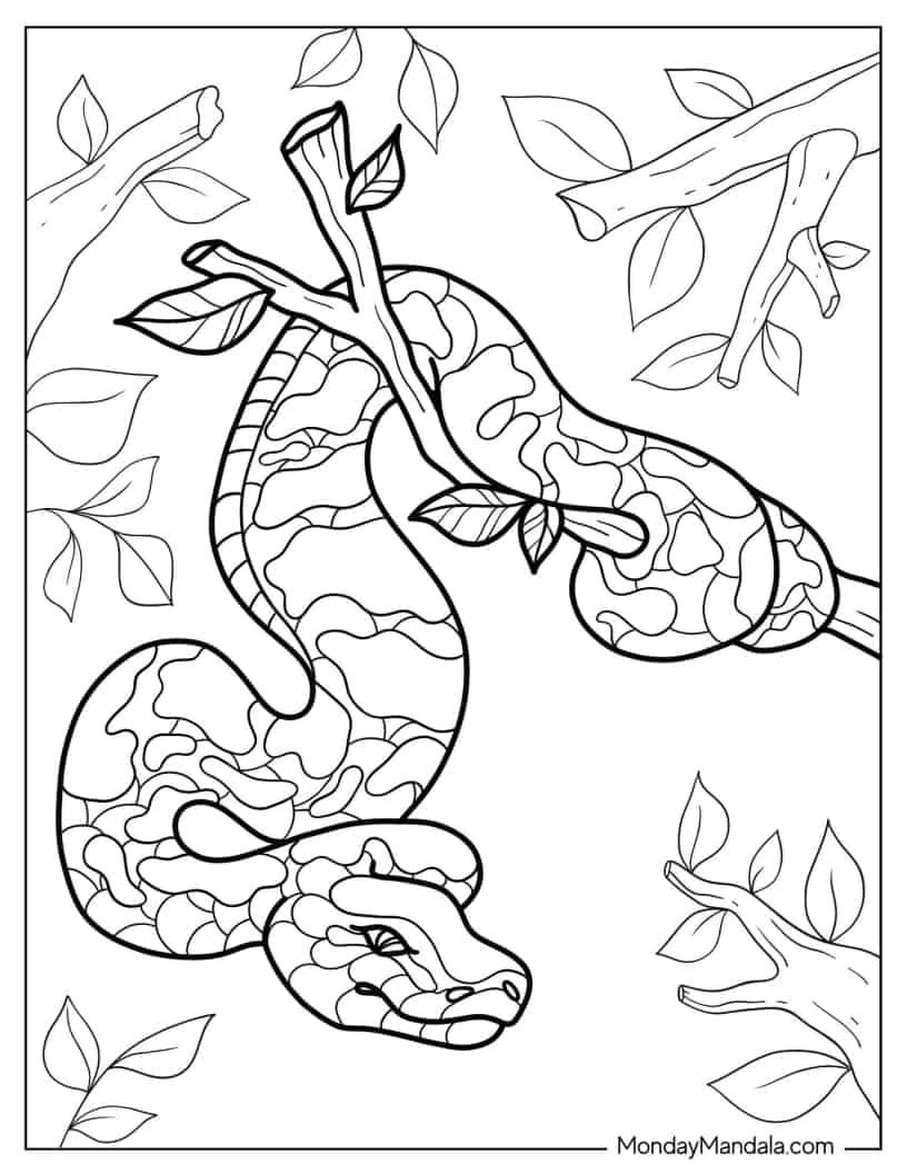 Python Hanging From Tree coloring page