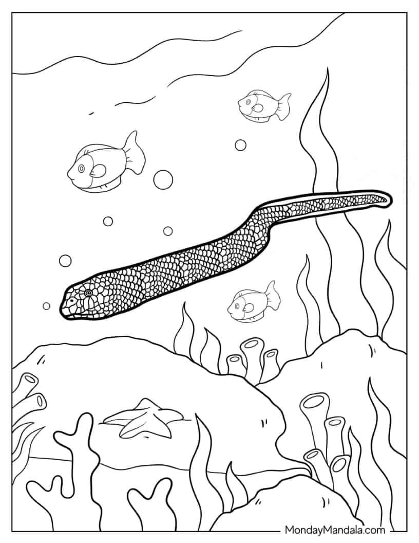 Sea Snake Swimming In Ocean coloring page