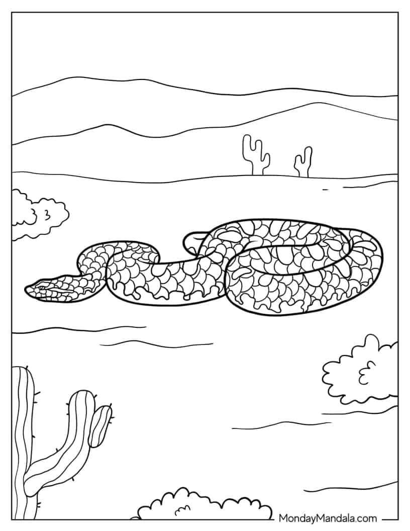 Snake Slithering In Desert coloring page