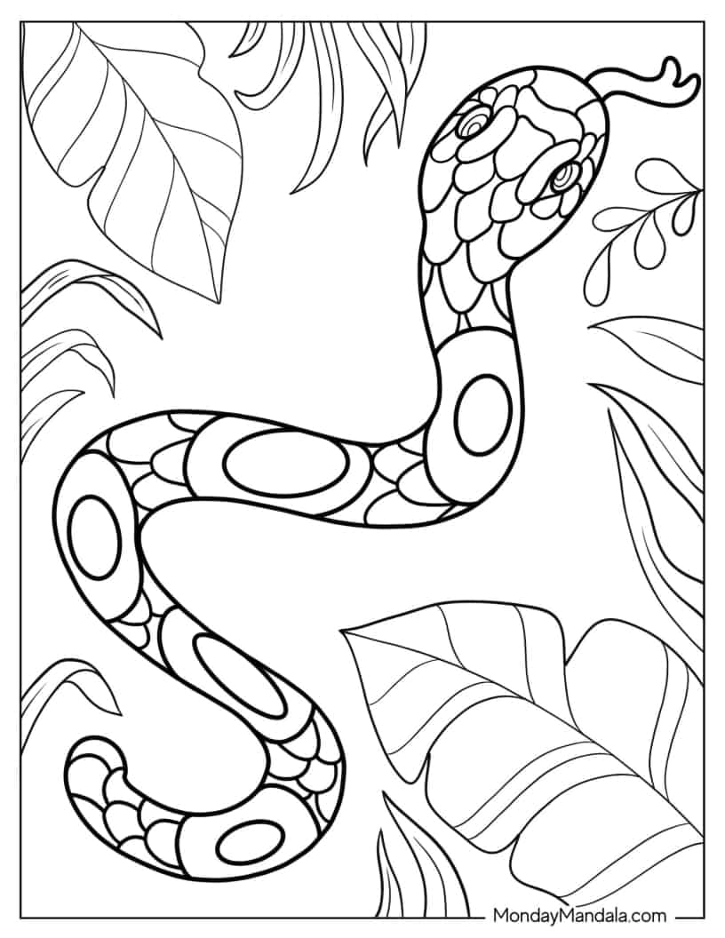 Snake Slithering Through Jungle Floor coloring page