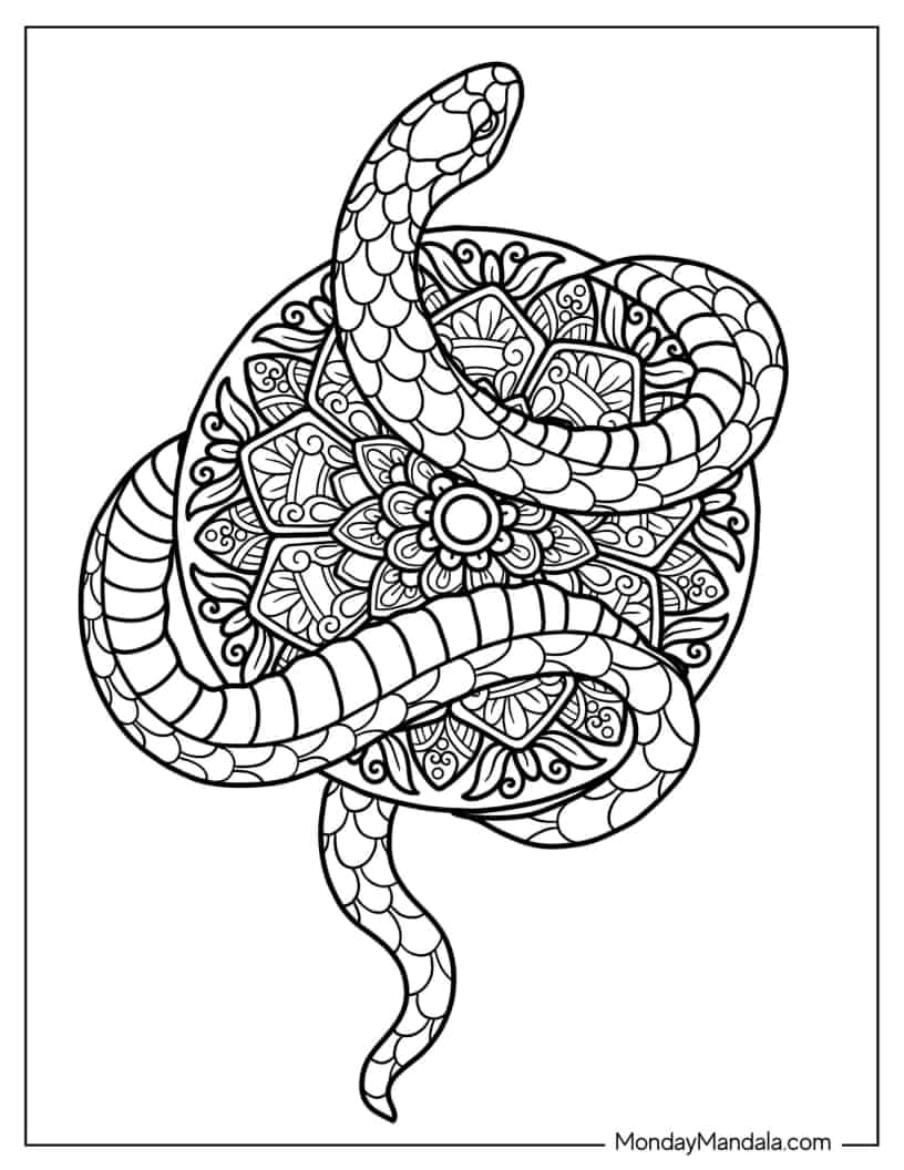 Snake Wrapping Around a Mandala To Color coloring page — printable line art