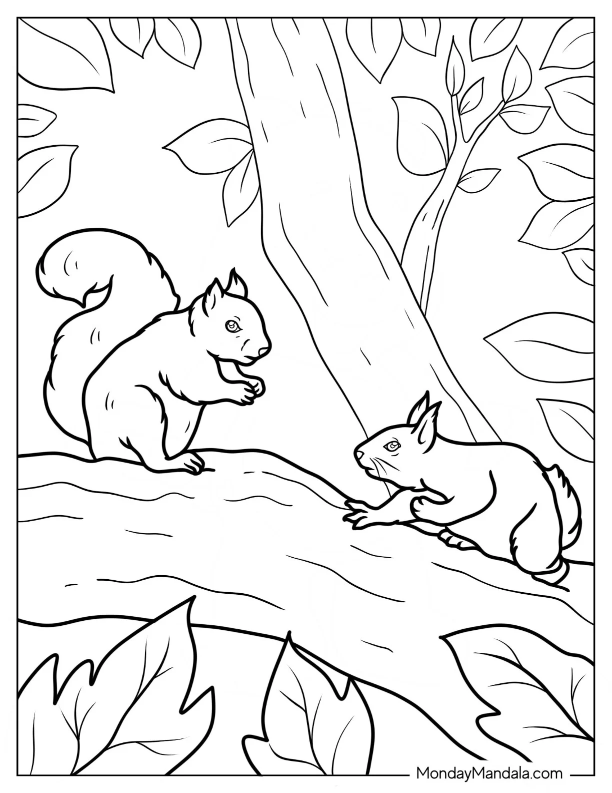 Easy Outline Of Two Squirrels Coloring Page On Tree Branch coloring page