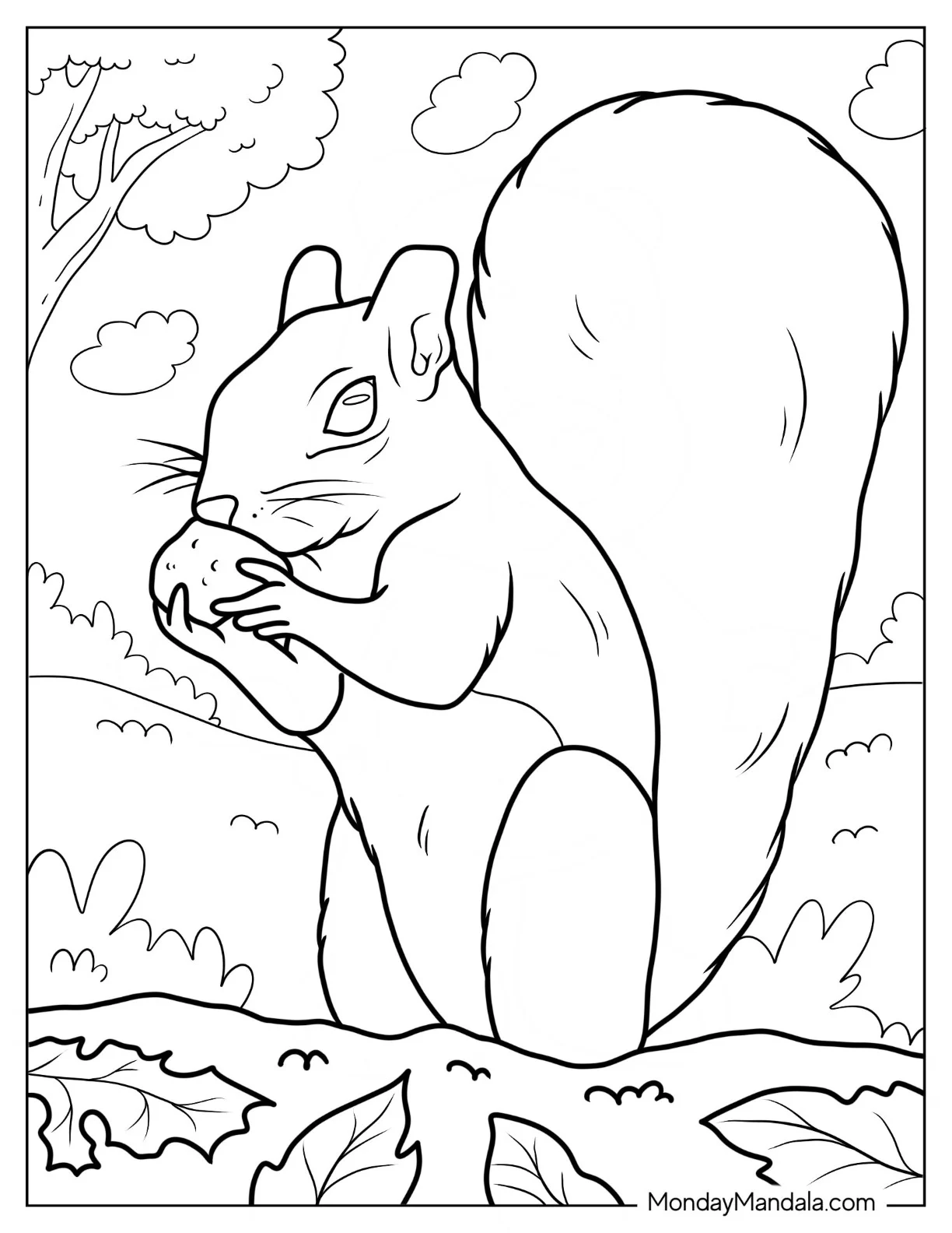 Realistic Squirrel Coloring Page Eating Nut On Field coloring page — printable line art
