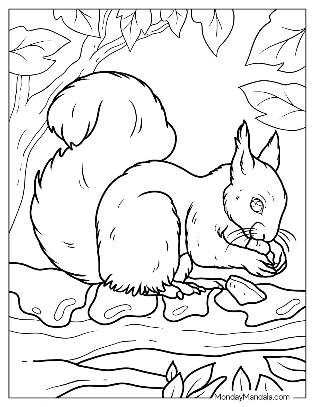 Realistic Squirrel Coloring Page Eating Nut On Snow Covered Branch coloring page — printable line art