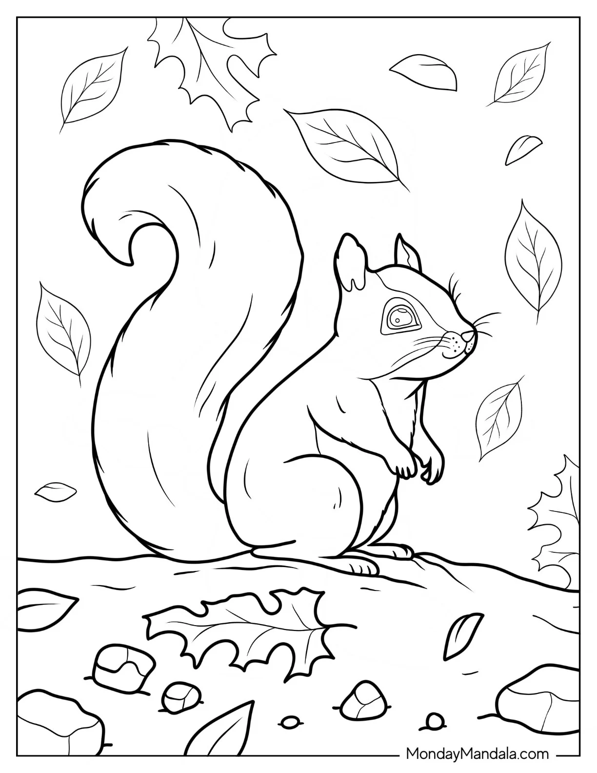 Simple Squirrel Coloring Page Outline In Fall For Kids coloring page
