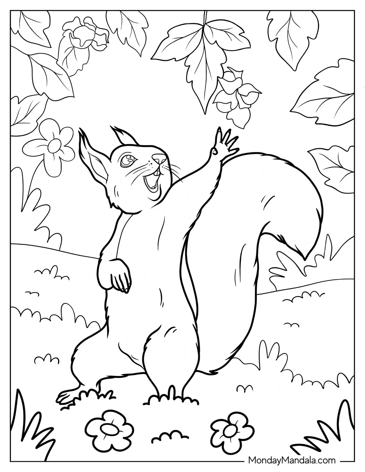 Squirrel Coloring Page Reaching Up For Nuts In Autumn coloring page