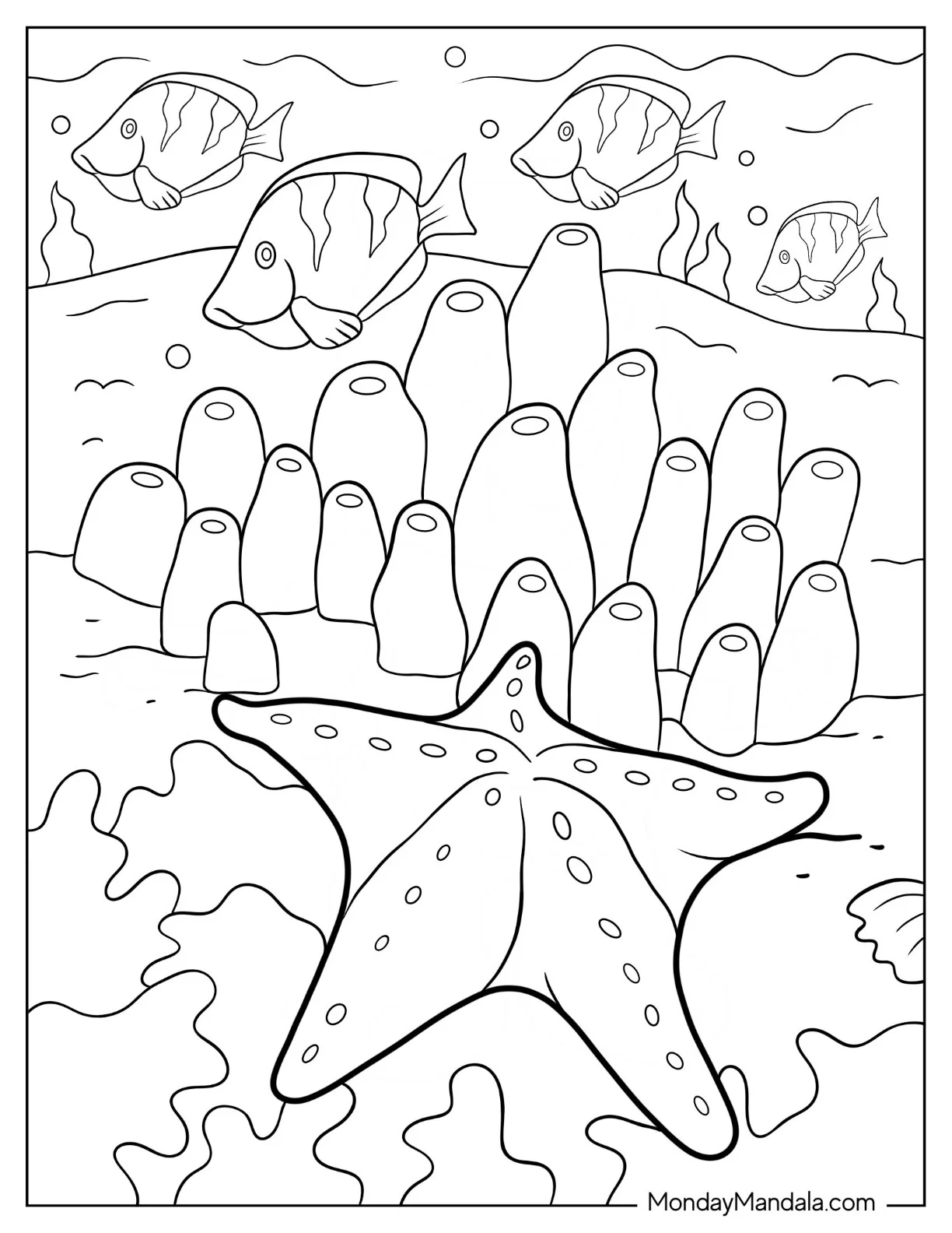 Cushion Starfish Coloring Page Next To Sea Sponges coloring page — printable line art