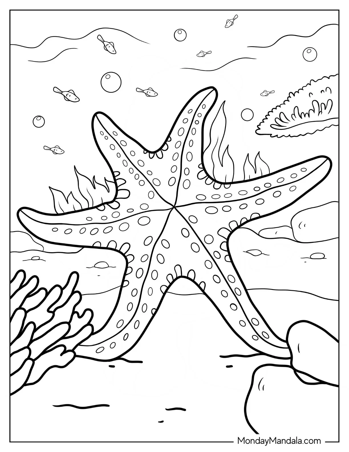 Detailed Starfish Coloring Page Underwater coloring page — printable line art