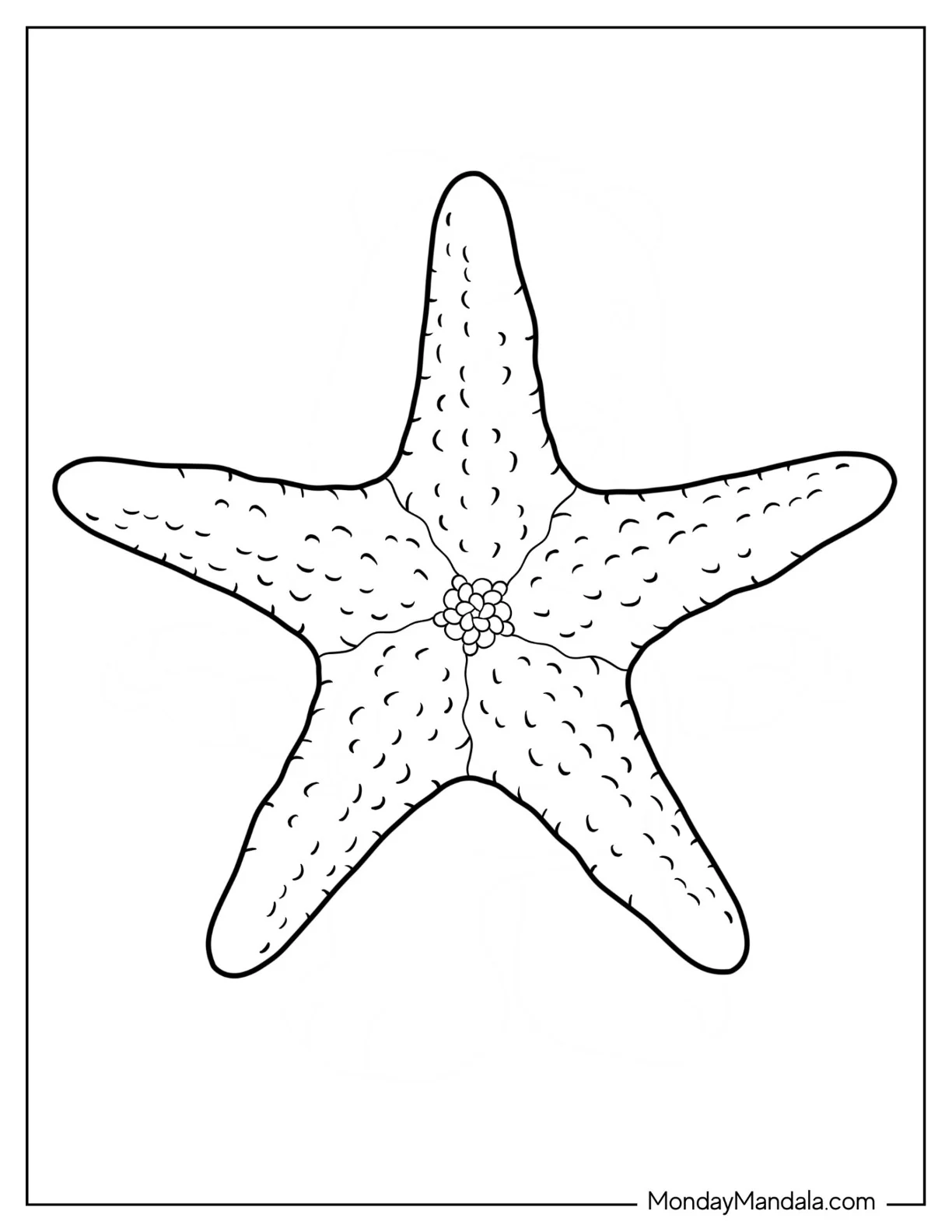 Easy Outline Of Starfish Coloring Page coloring page