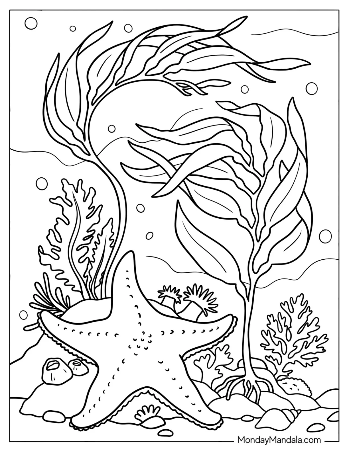 Realistic Starfish in a Reef Coloring Page coloring page — printable line art