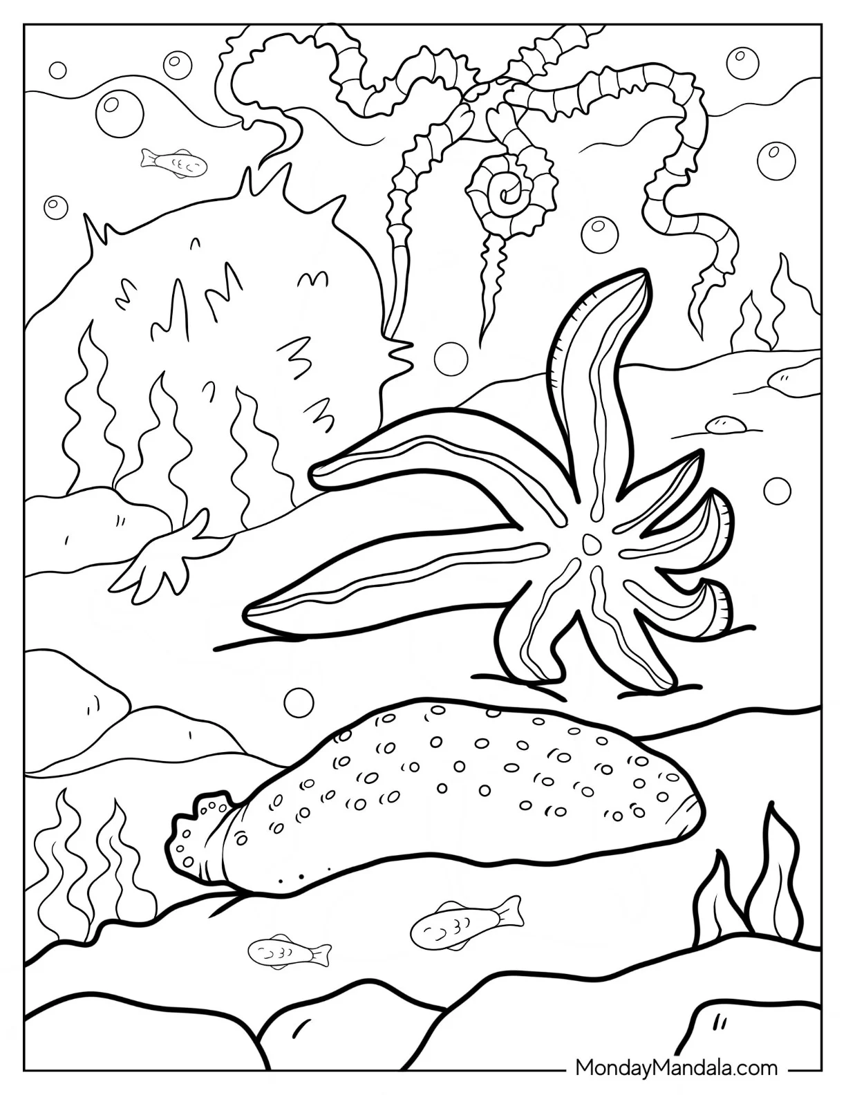 Simple Starfish Coloring Page On The Sea Floor With Sea Cucumber And Brittle Star coloring page — printable line art