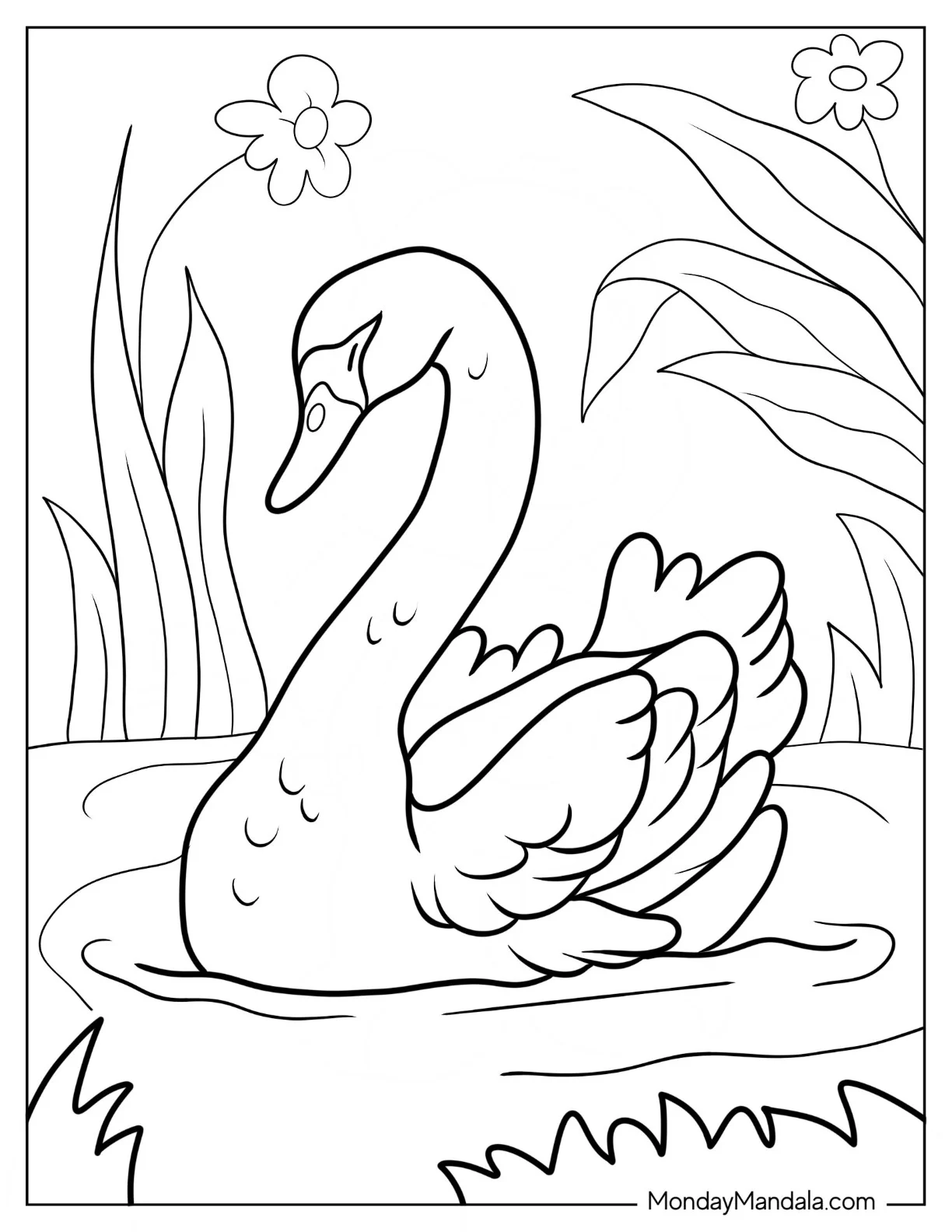 Detailed Swan Coloring Page Sleeping On Pond coloring page — printable line art