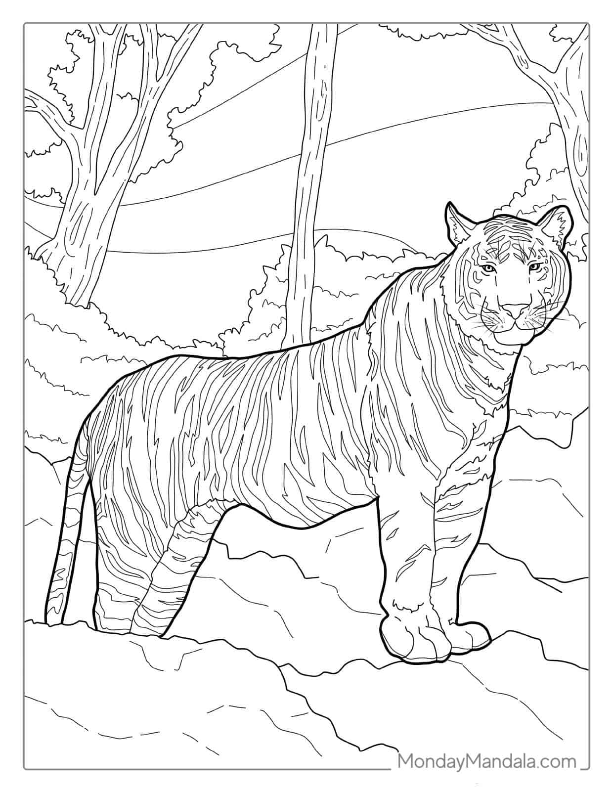 Bengal Tiger Standing In Jungle_ coloring page