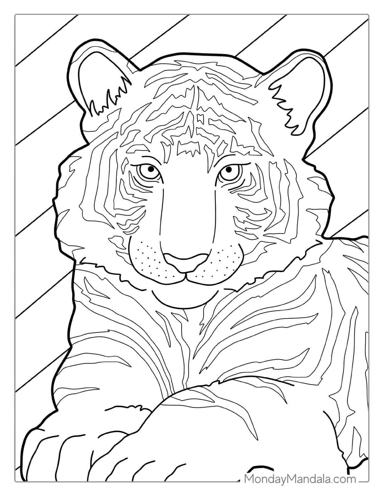 Cute Baby Tiger Coloring For Kids coloring page