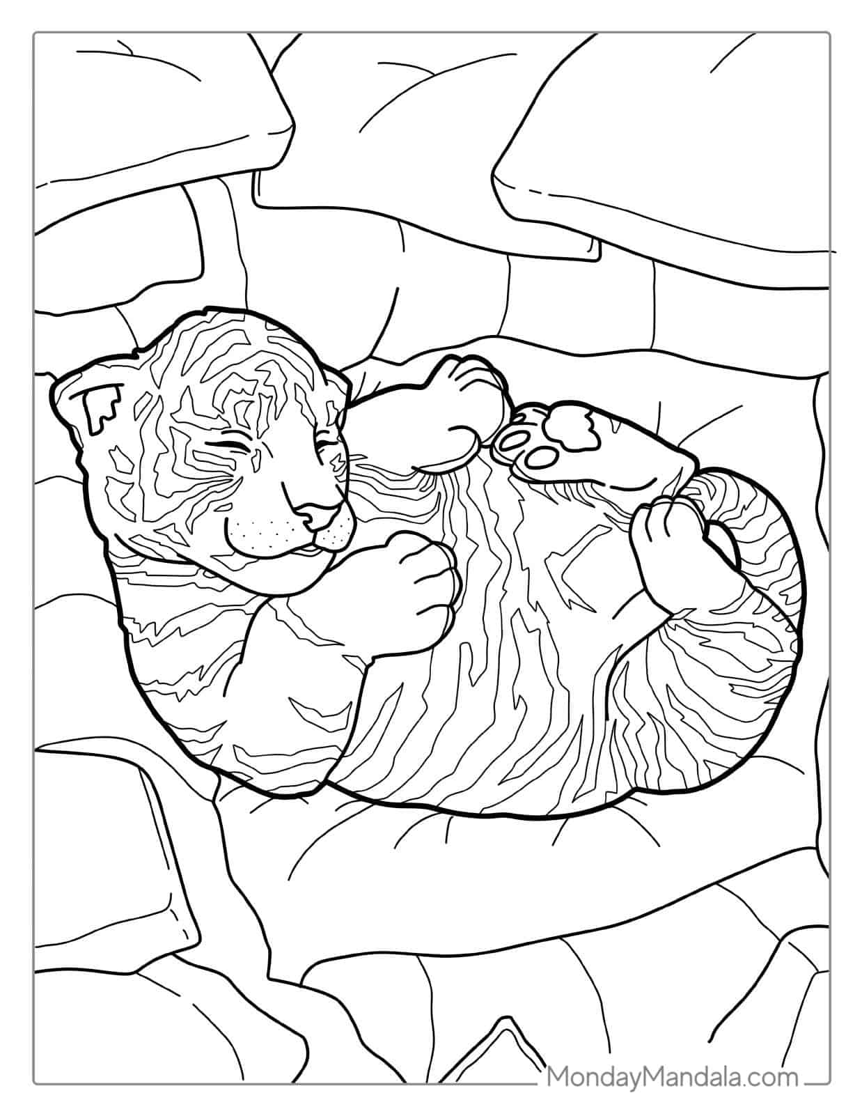 Cute Baby Tiger Sleeping In A Ball coloring page