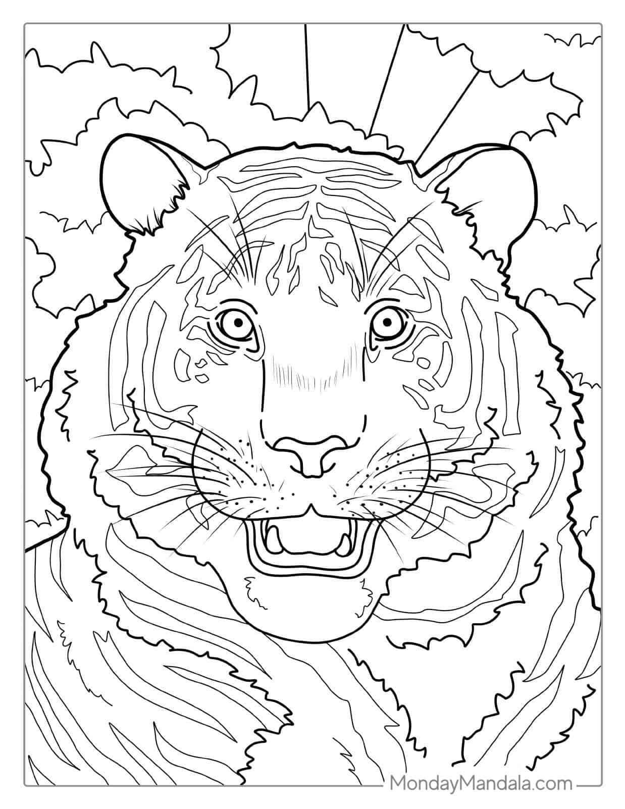 Happy Tiger With Big Nose Coloring Page coloring page