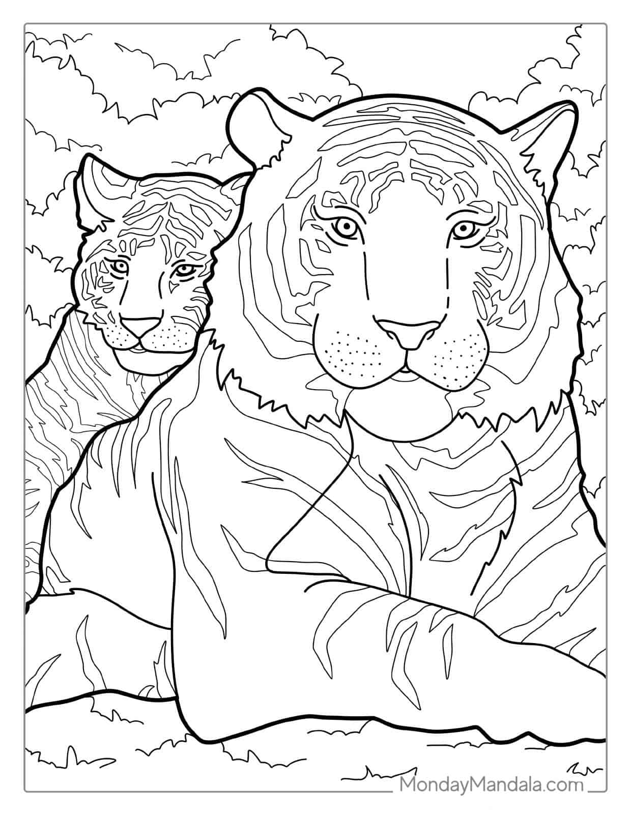 Mom Tiger With Cub Coloring coloring page — printable line art