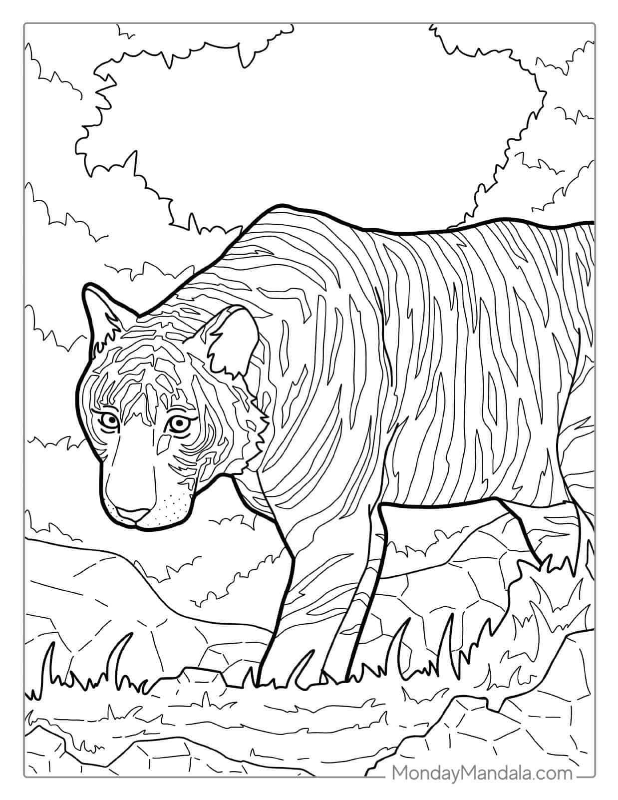 Siberian Tiger In Wild coloring page
