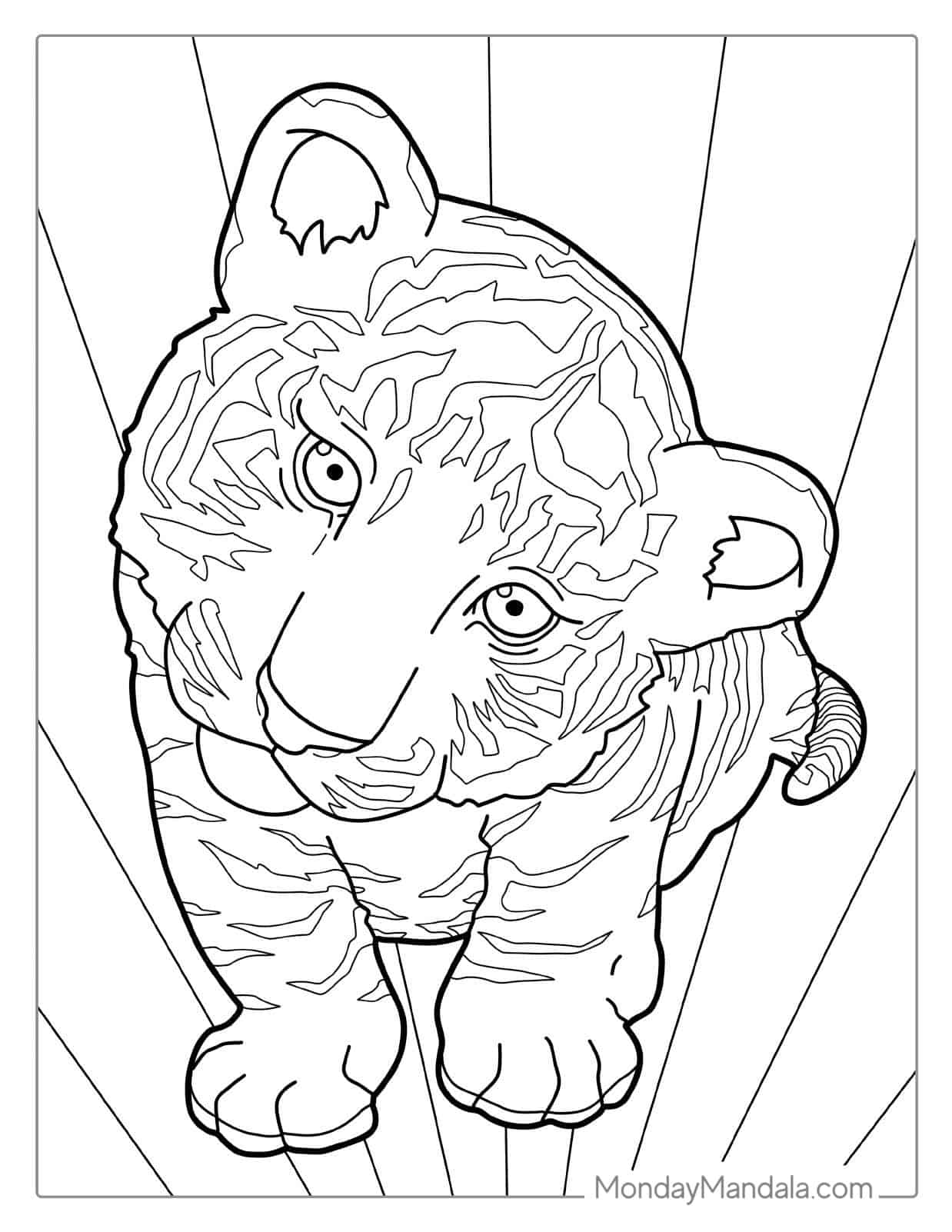 Tiger Cub With Cute Eyes Coloring For Preschoolers coloring page