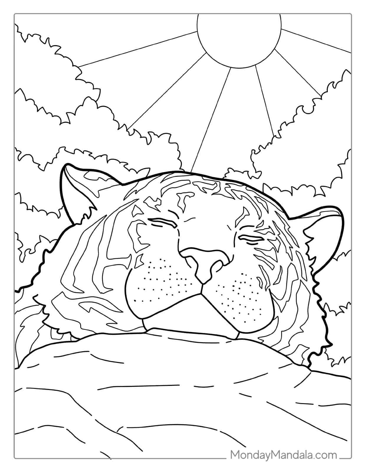 Tiger Enjoying The Warm Sun Coloring Page coloring page