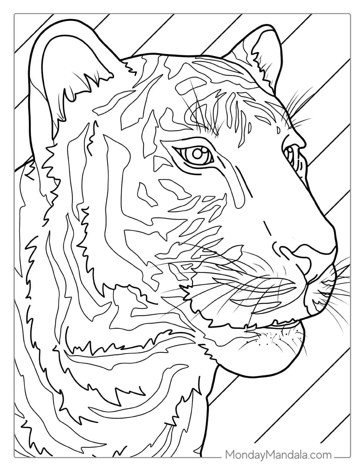 Tiger Head With Whiskers Coloring coloring page