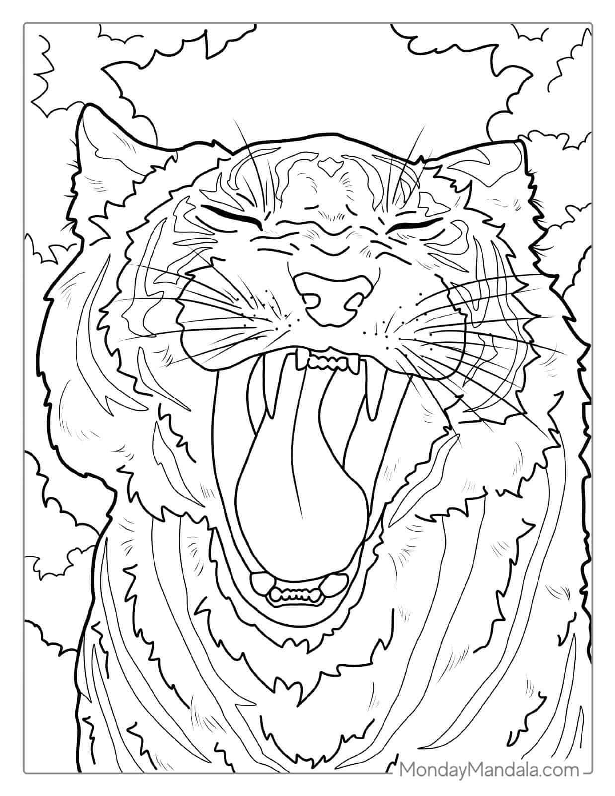 Tiger Yawning With Big Fangs coloring page