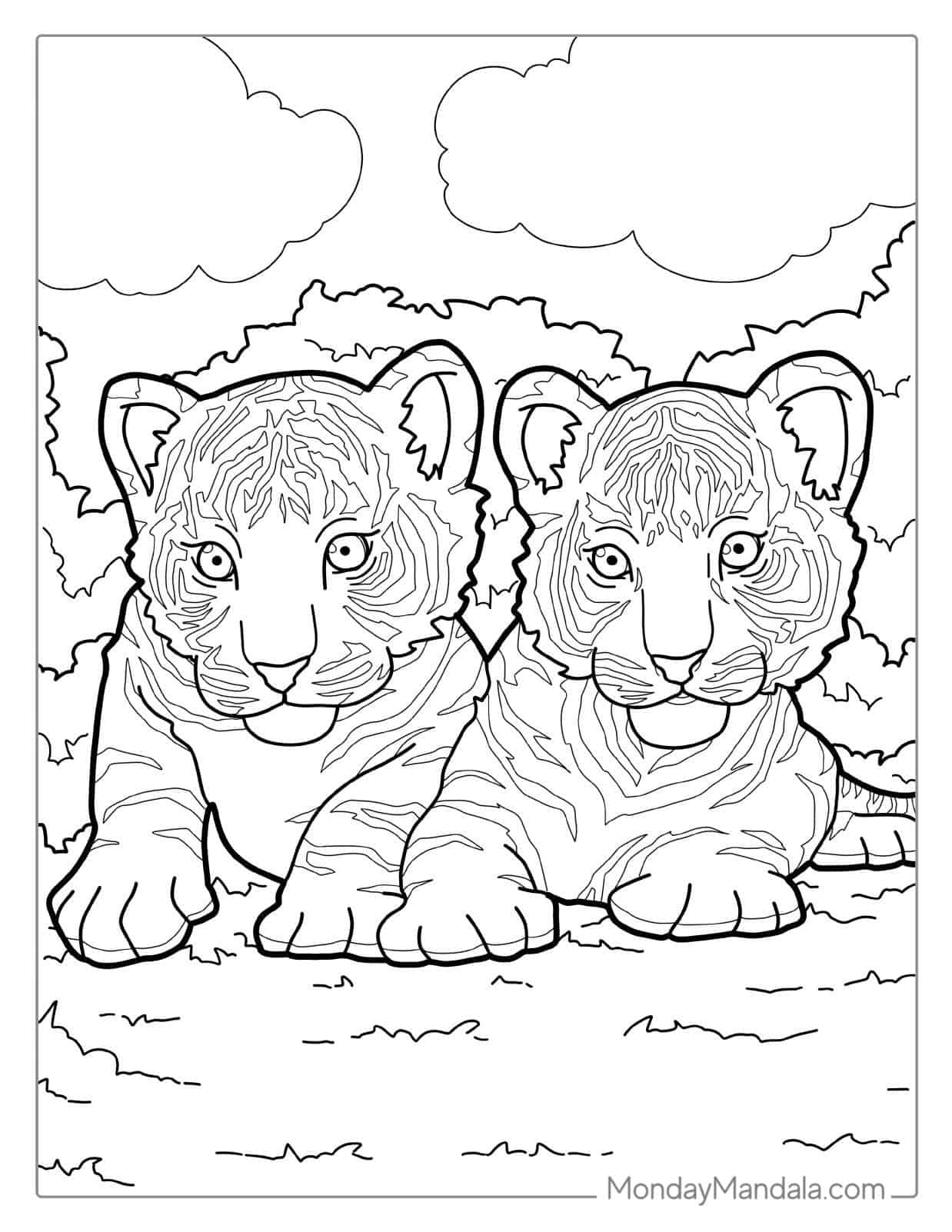 Two Tiger Cubs About To Pounce Coloring Page coloring page