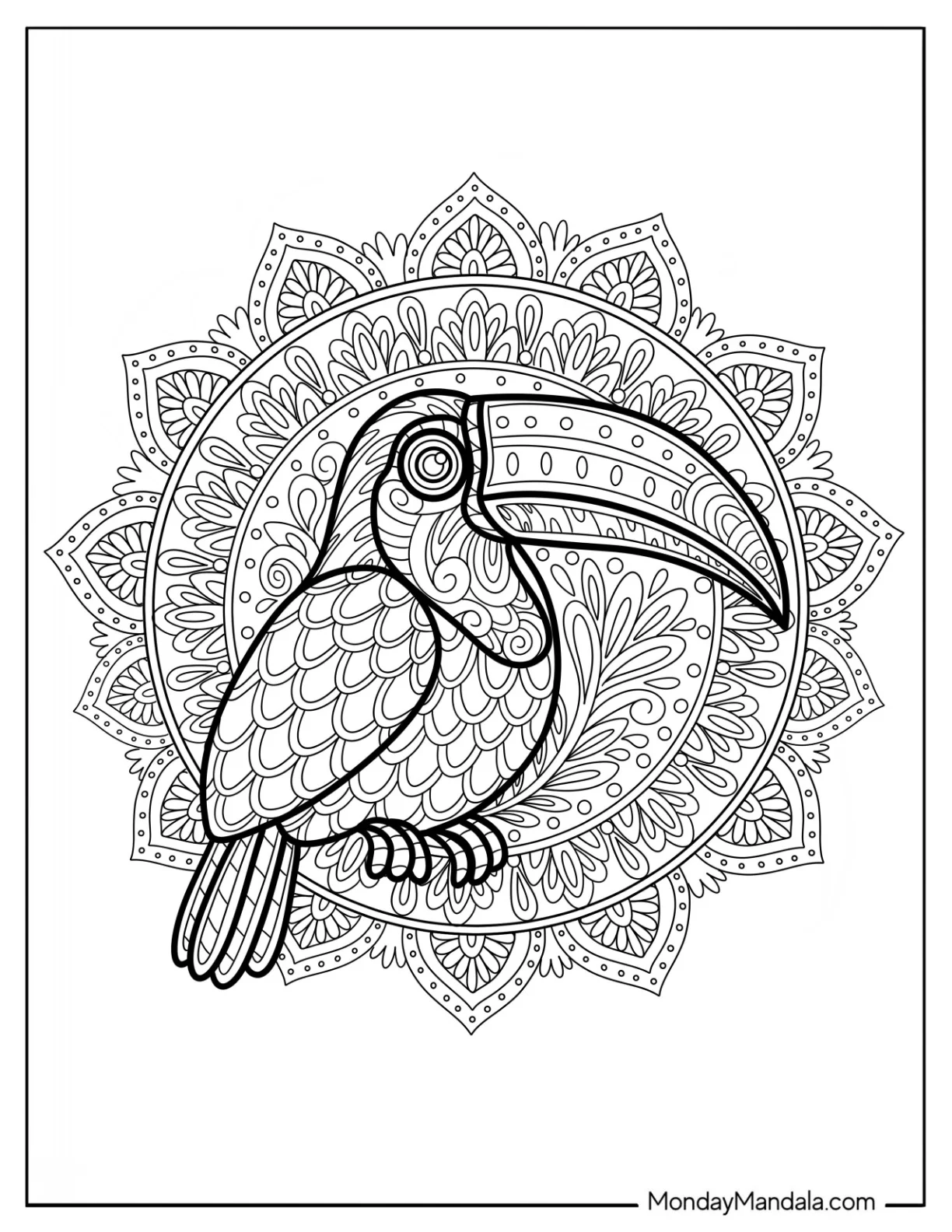 Intricate Toucan Coloring Page Mandala with Floral Patterns coloring page