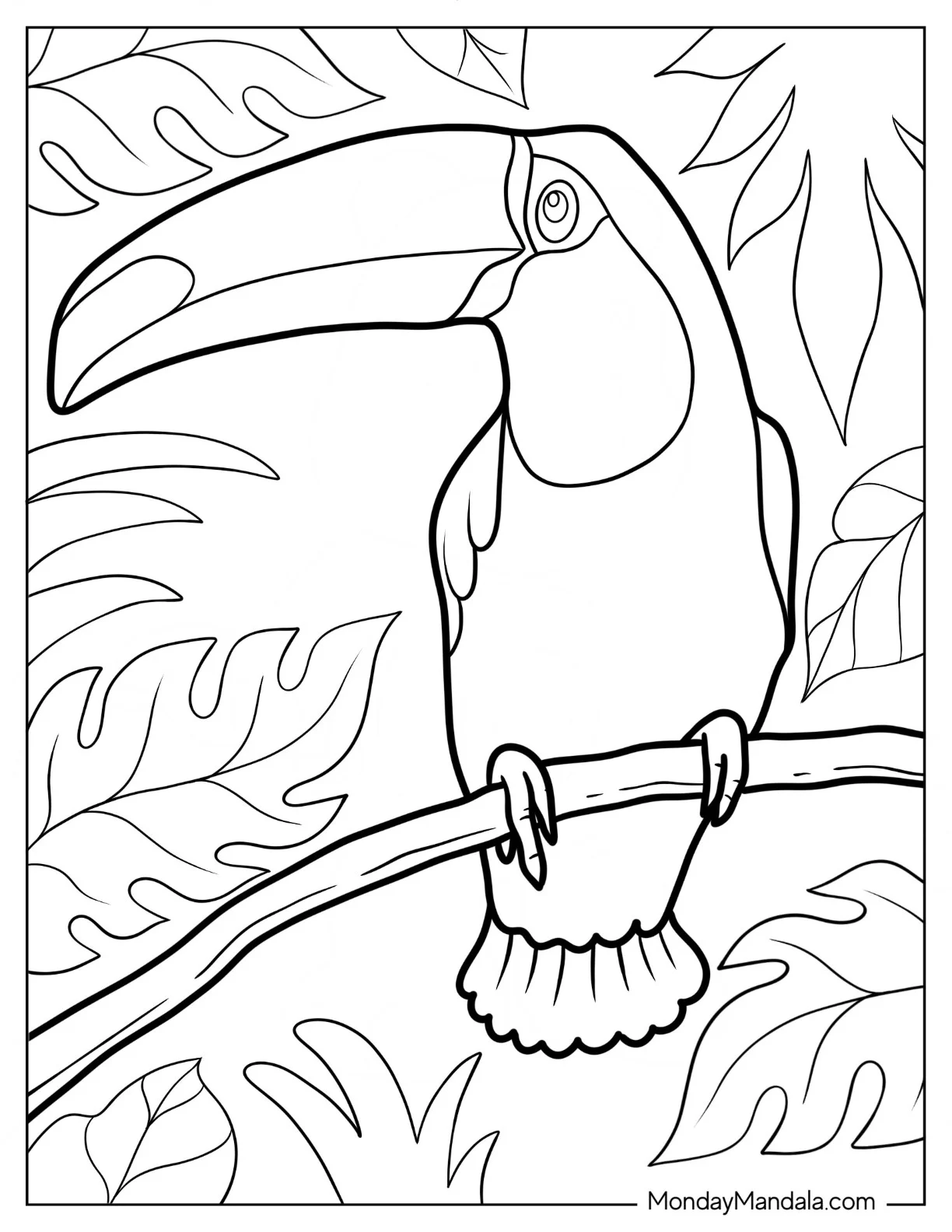 Large Toucan Coloring Page Surrounded By Leaves coloring page — printable line art